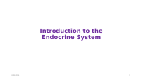 Introduction to the Endocrine System (1).pptx
